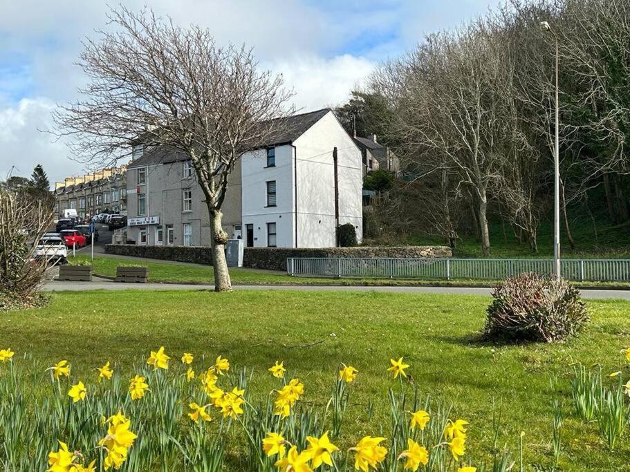 Caernarfon Modern Townhouse Snowdonia Βίλα Εξωτερικό φωτογραφία